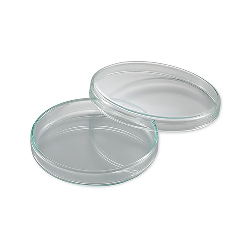 スタンダードシャーレ φ60×15mm