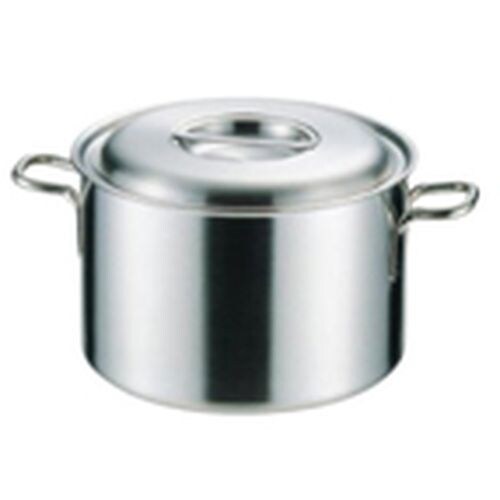 プロデンジ 半寸胴鍋 27cm