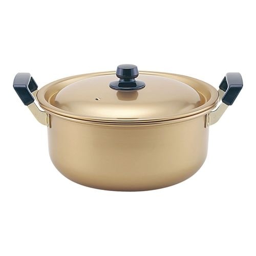 TKG 本しゅう酸 美菜食 両手鍋 28cm