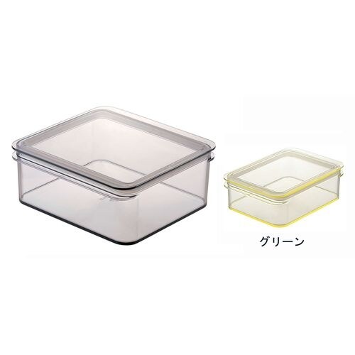 テンガ 保存容器 レクタングル P−5 グリーン
