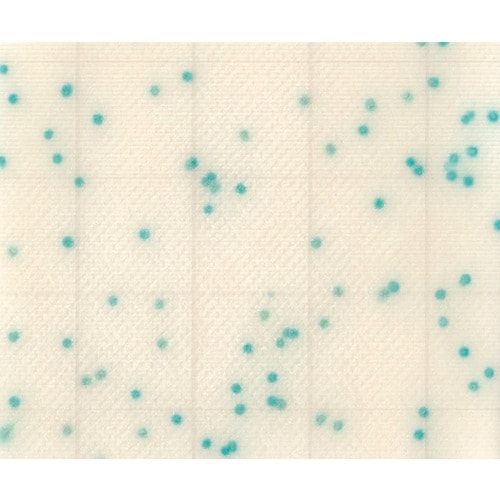 【冷蔵】菌検査用培地 CC 100枚