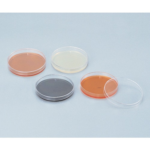 【冷蔵】寒天生培地ポテトデキストロース CP添加