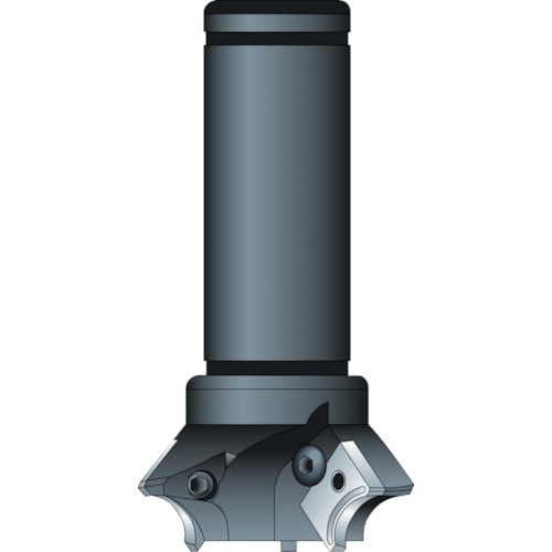 Rヌーボーシャンクφ32