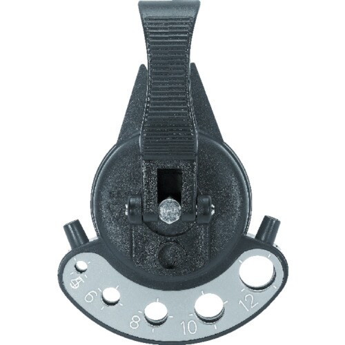 イチギメガイド