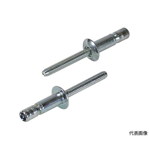 SボルトSNS48069EB(100本入)