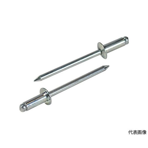 ブラインドリベット NS48EB