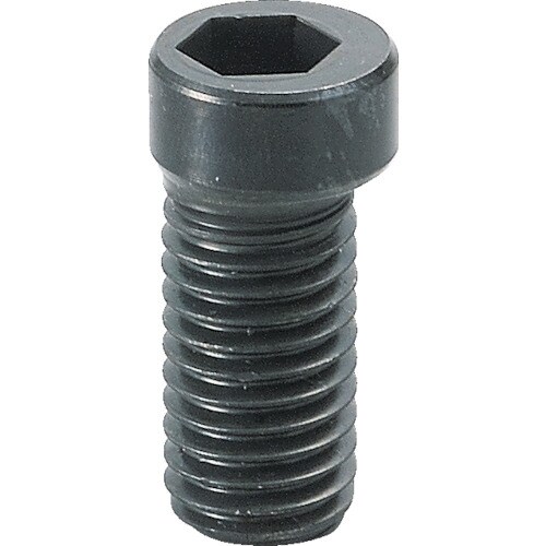 カムスクリューM8