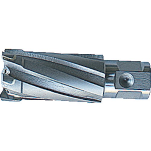 大見 35Sクリンキーカッター 24.5mm