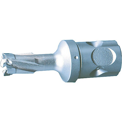 デルタゴンメタルボーラー200mmALΦ11.5