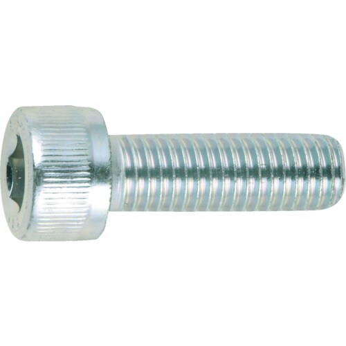 六角穴付ボルト三価白M5×10(500本入)