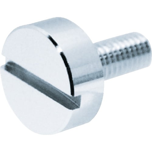 装飾平小ねじすり割りコインM6Φ10L201個入