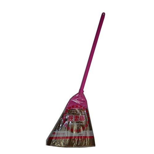 アイサイ シダホーキ短柄