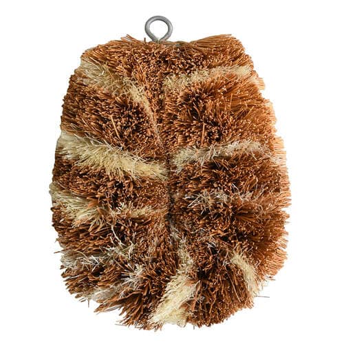 パームトラタワシ