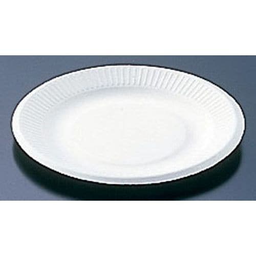 パルプモールド プレート 21 −6(50枚入)