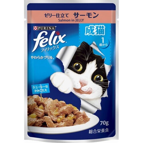 フィリックスやわらか成猫用サーモン70g