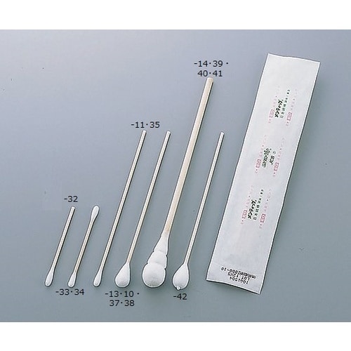 メンティップ 100A2320