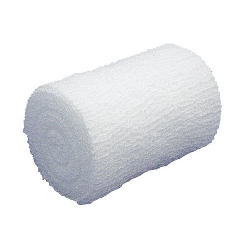 A002 カモメタイA