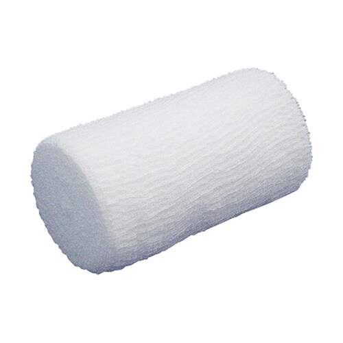 A003 カモメタイA