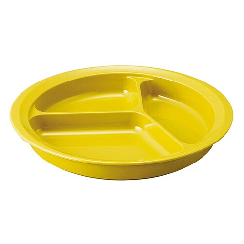 UD 仕切皿 2950 きはだ