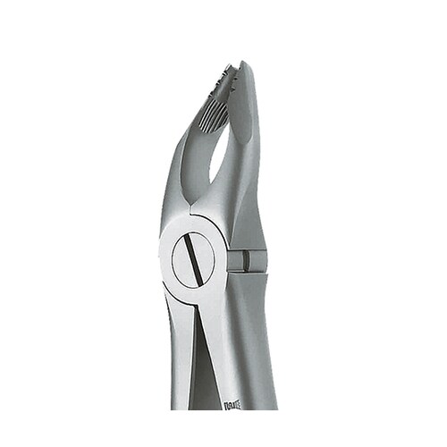 抜歯鉗子 ROBA 上顎用 #35N