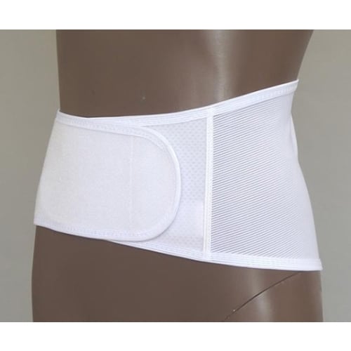 ランベルト A1 4L 1個