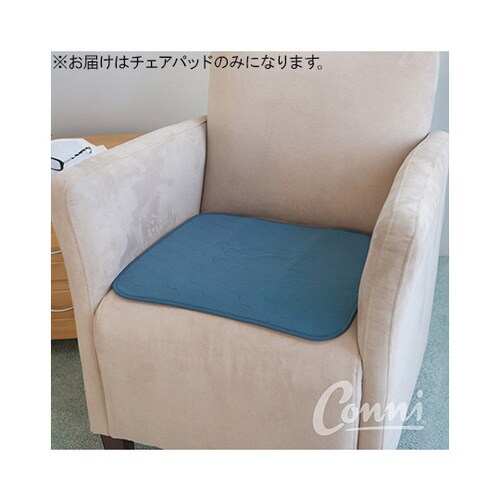 CCD048048251TBチェアパS青