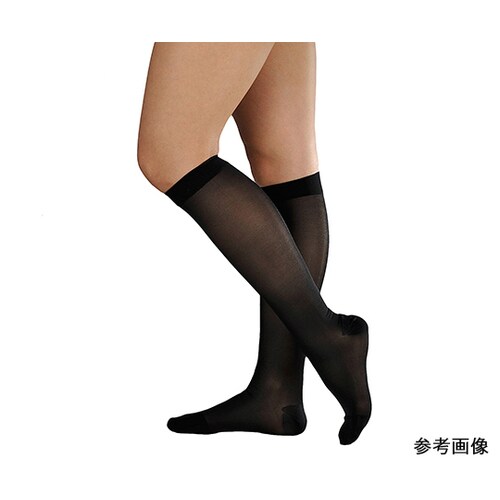 アンシルク2ブライト 18571BL L