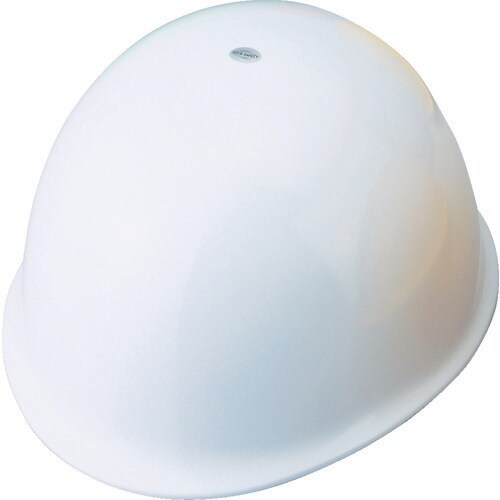 ヘルメット NO.110FWH