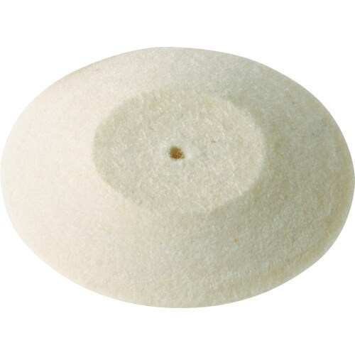 レンズエッジフェルトホイールφ19(10個入)