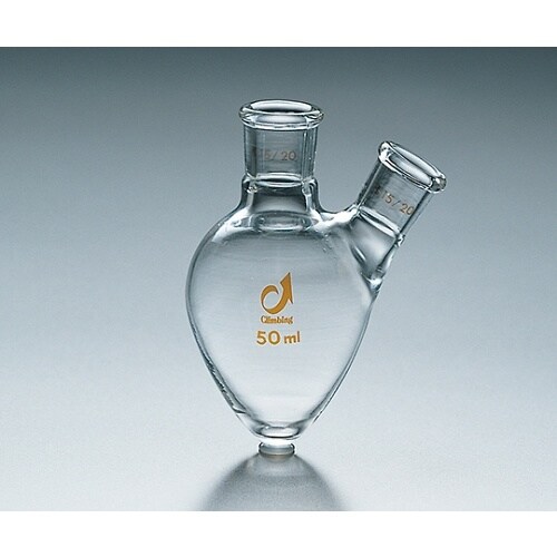 2口梨型フラスコ 100 19/22*15/20