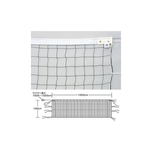 ネット 9人制 女子 検定 V116