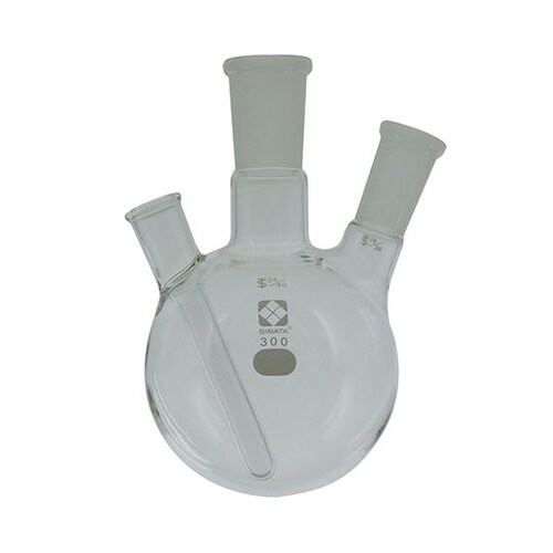 005320−24300フラスコ300mL