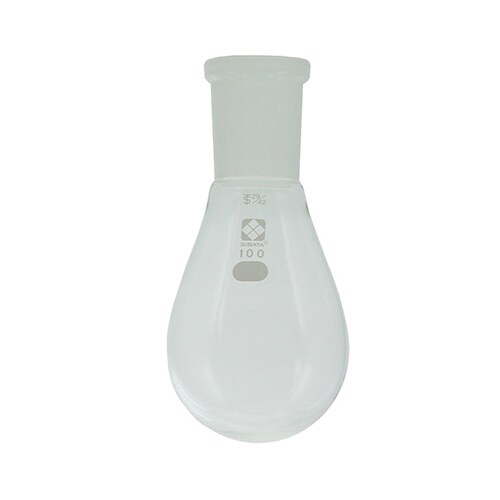 005370−29100フラスコ100mL