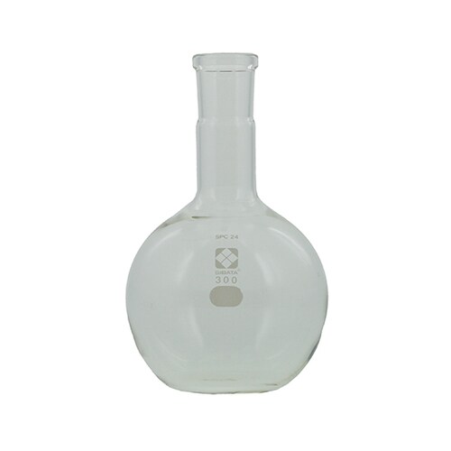 030110−24300フラスコ300mL