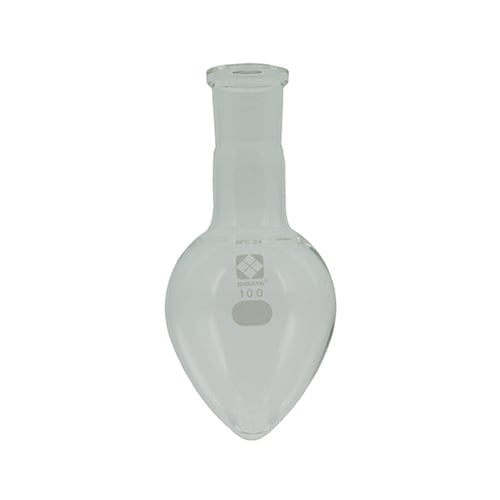 030130−24100フラスコ100mL