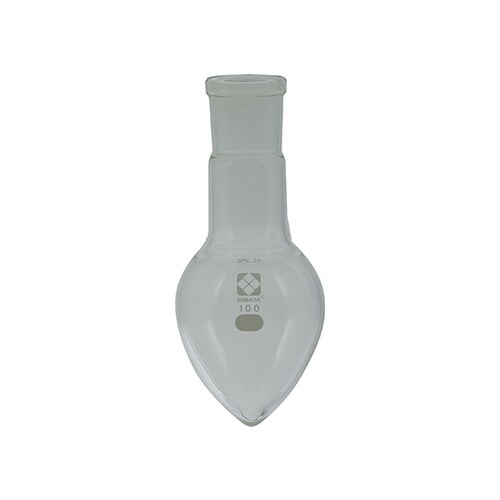 030130−29100フラスコ100mL