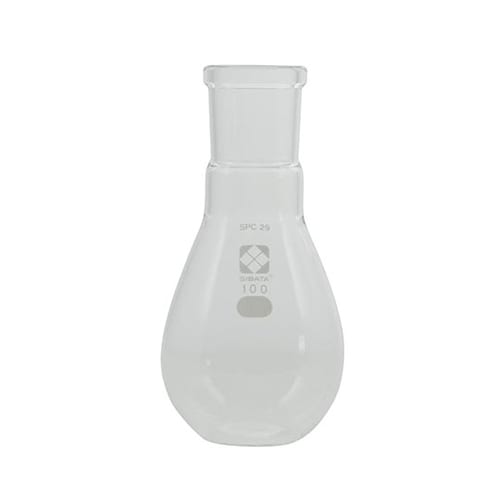 フラスコ 100mL 035120−29100