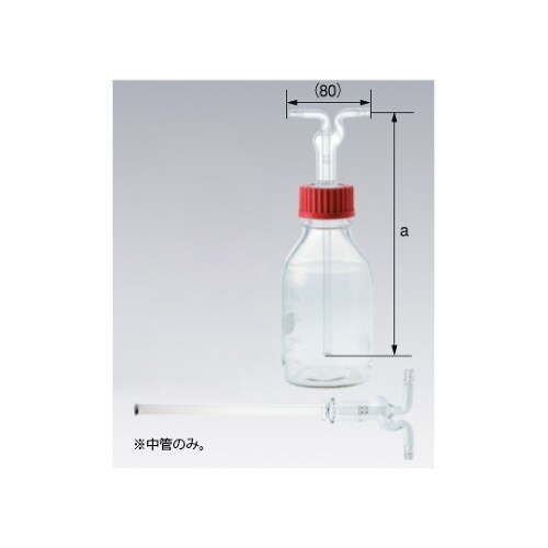 ねじ口洗浄びん 中管 フィルター付 1L用