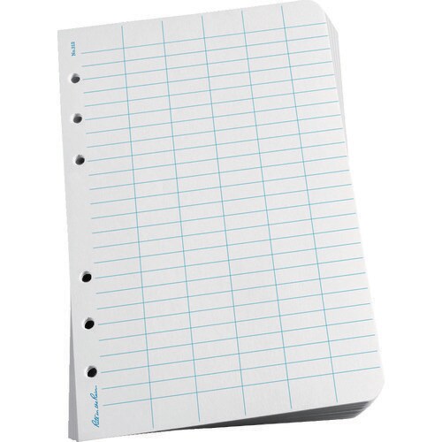 ルーズリーフレベル