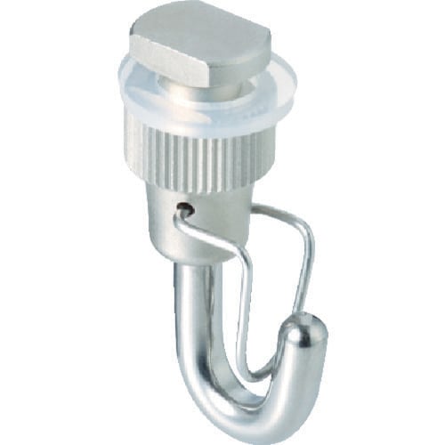 ピクチヤ−T/TCフツク30Gシルバ−