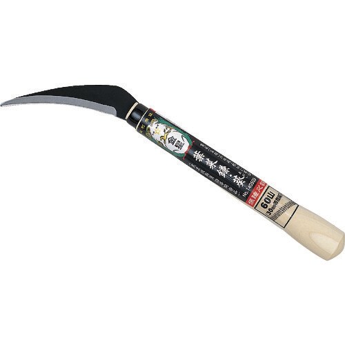 金星葉菜鎌葵(あおい)