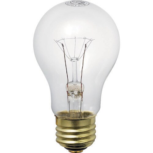 ELPA 耐振球20W