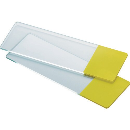 スライドガラス フロスト有 イエロー