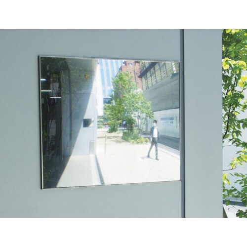 FFミラー<ビス止めタイプ> F48B