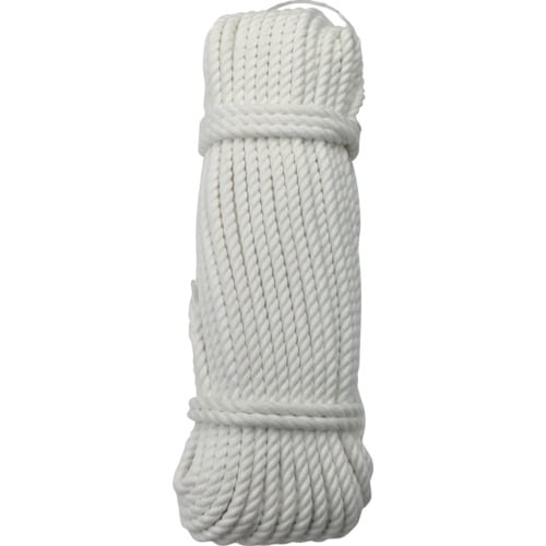 ロープSトラックロープ6φ×30m