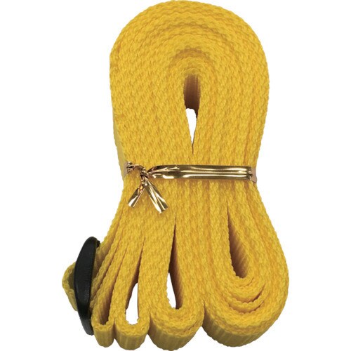 AG312 結束ベルトトライグライド