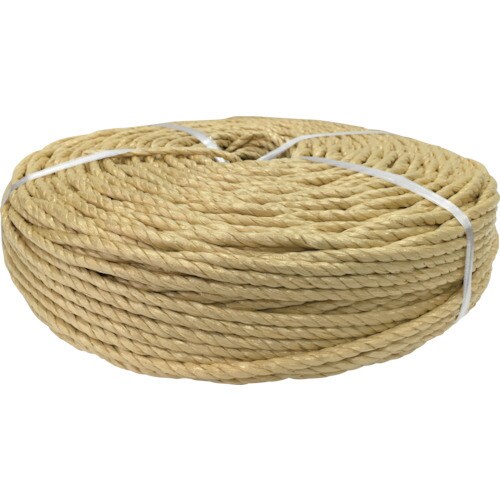 PS6200WR PSロープ わら縄色