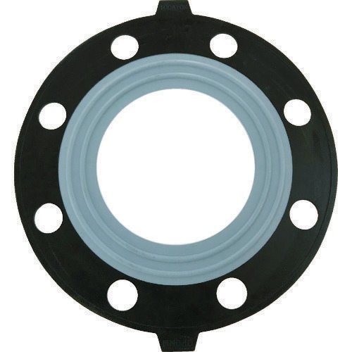 PTFE(テフロン)パッキン100AJIS10K