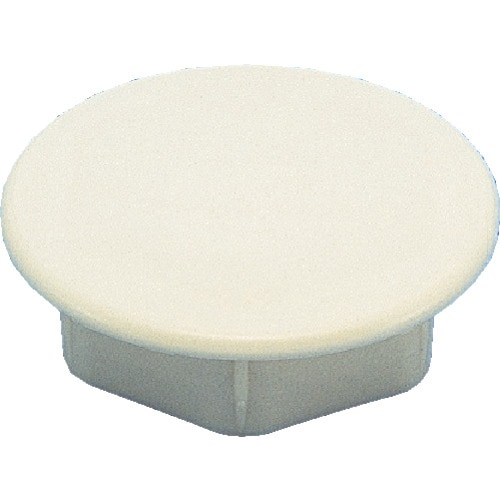 ウォールキャップ WM65I