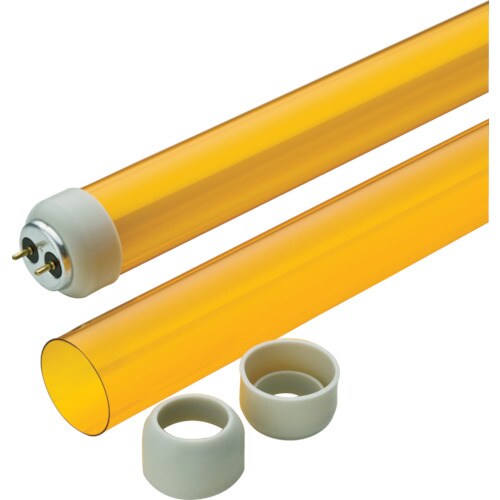 バンガードオレンジ40Wレギュラー